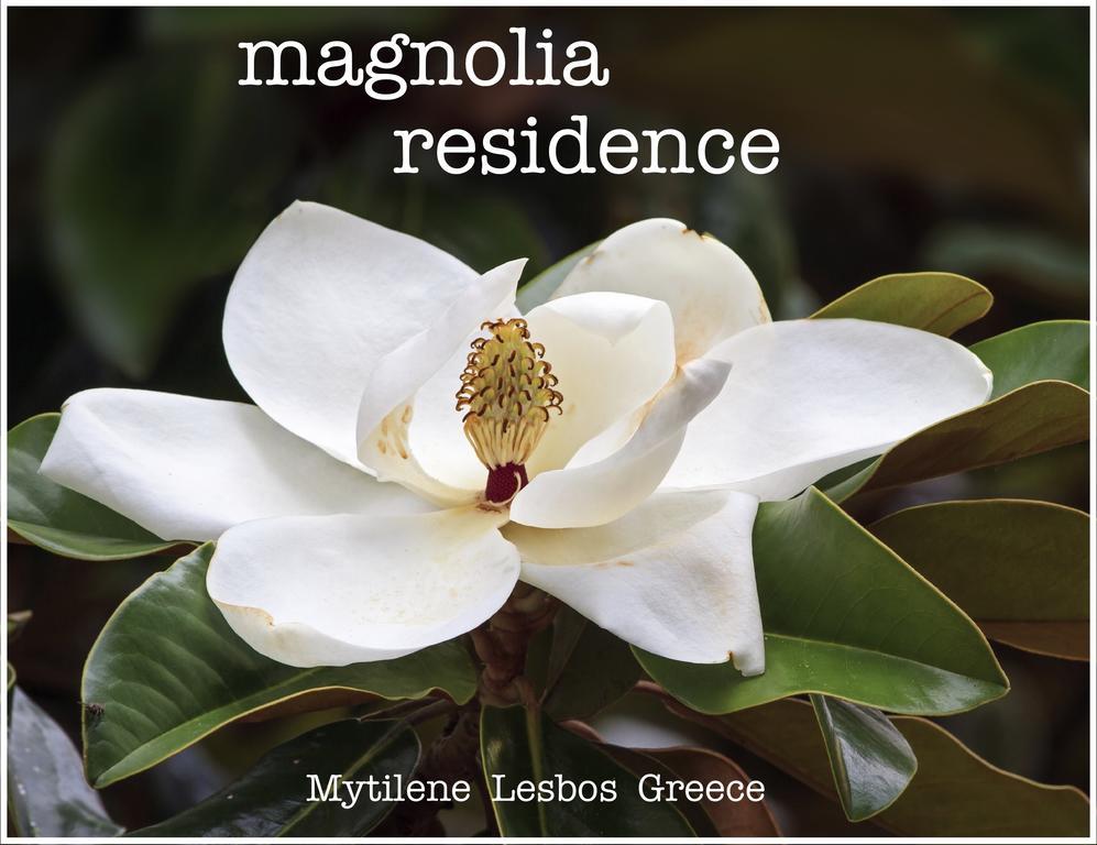 Magnolia Residence Mytilene ภายนอก รูปภาพ